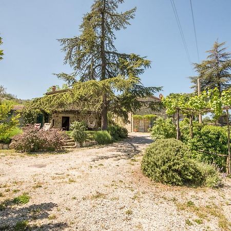 Appartamento Gemma Verde-Tavoleto Castiglione dʼOrcia Kültér fotó