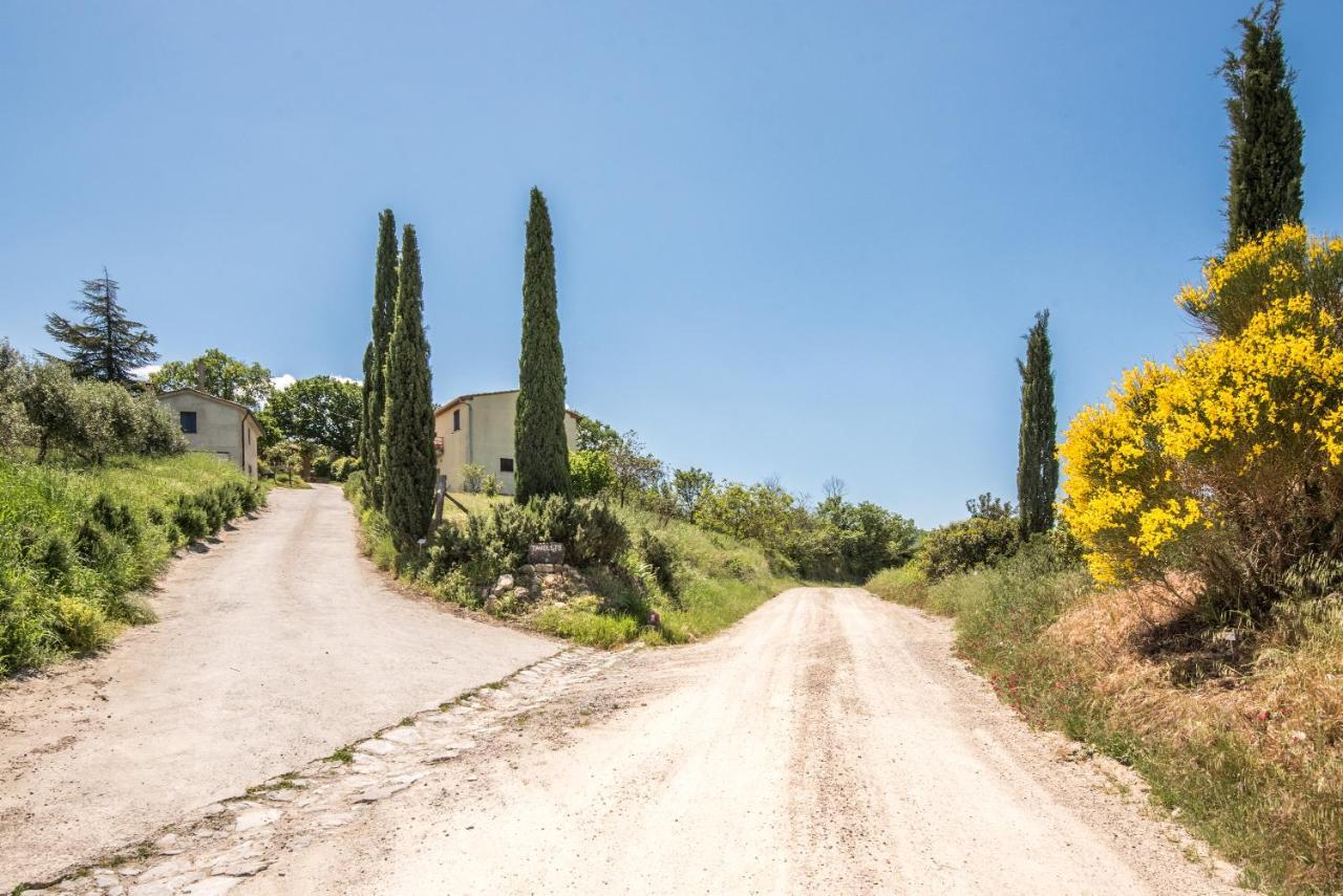 Appartamento Gemma Verde-Tavoleto Castiglione dʼOrcia Kültér fotó