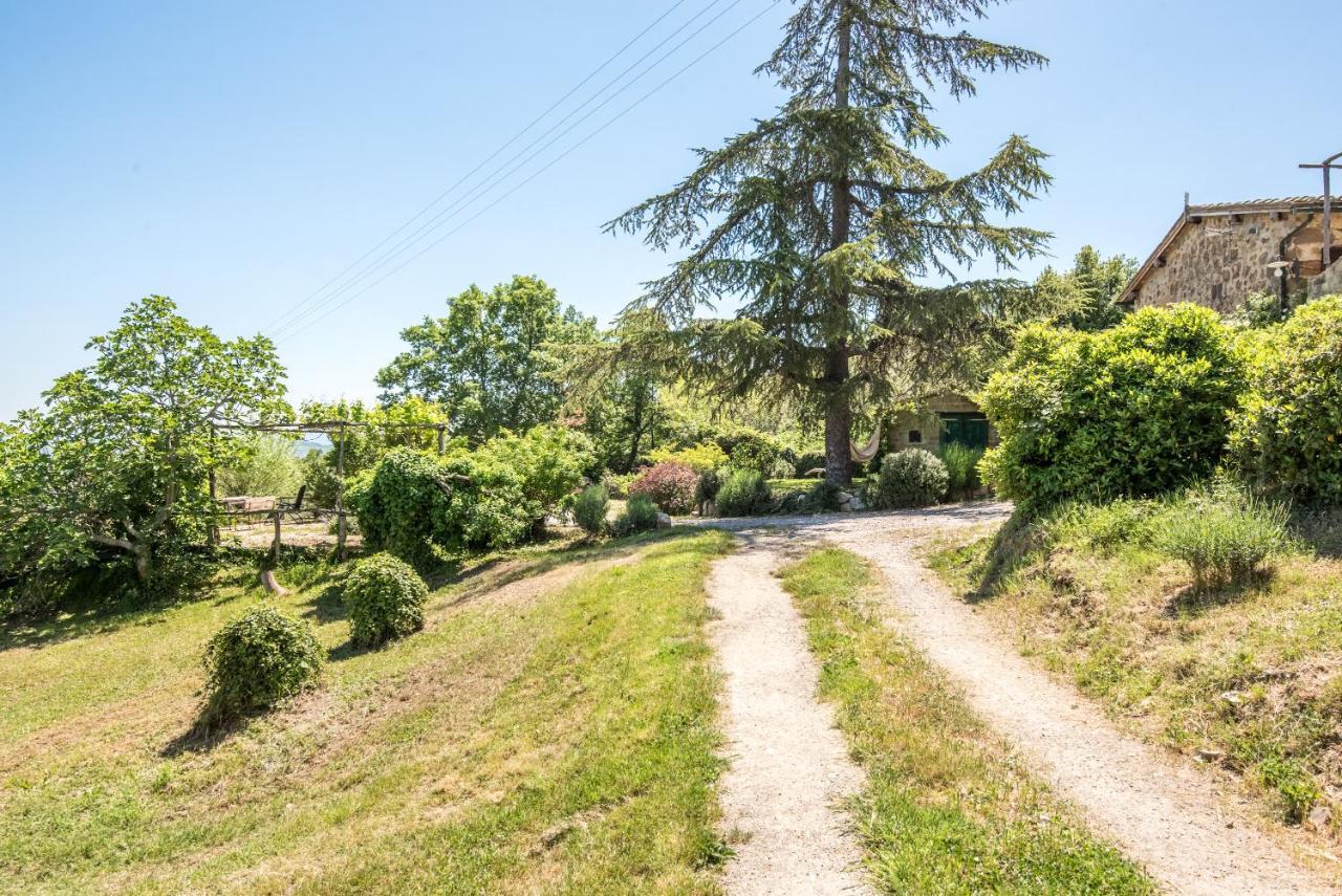 Appartamento Gemma Verde-Tavoleto Castiglione dʼOrcia Kültér fotó